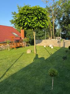 Apartmán Sebina zaručujici absolutní soukromi a klid s láhví vína jako dárek