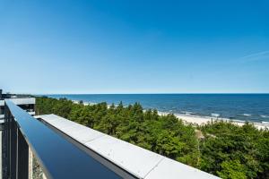 Shellter City Apartments