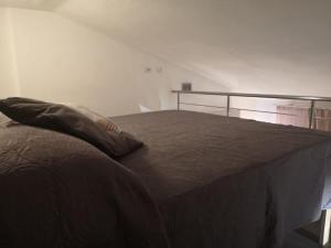 The Turtle - La tartaruga