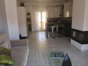 The Turtle - La tartaruga