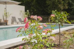 B&B / Chambres d'hotes Domaine Cap Rubis : photos des chambres