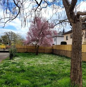 Appartements Au petit bonheur : photos des chambres