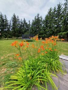 Ebner Pince - Panzió