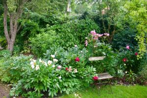 Theetuin en B & B De Theetuin