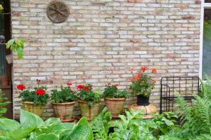 Theetuin en B & B De Theetuin