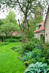 Theetuin en B & B De Theetuin