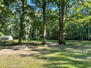 WoMo Stellplatz am Ferienpark Bernstein