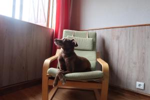 Cosy 3 bedroom house close to the beach