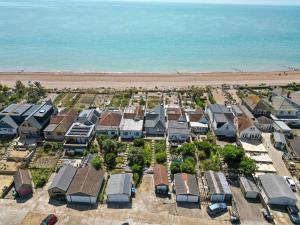 Seashells-Stylish Coastal Living