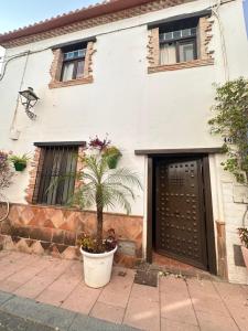 Estepona playa centro histórico