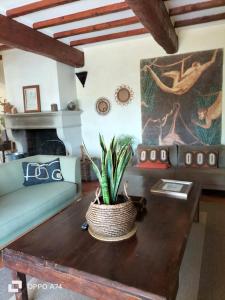 Villas Beautiful villa with pool : photos des chambres