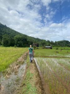 Summer Ridge - Homestay