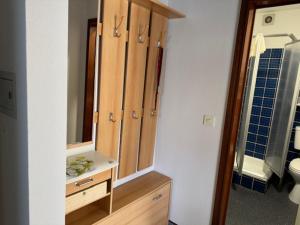 Terrassenappartment im Harz