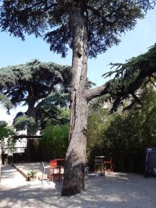 Saint-Jean-des-Cèdres