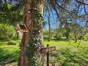 Maisons de vacances Les Hirondelles : photos des chambres