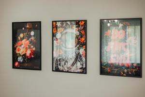 Premium Comfort Studio