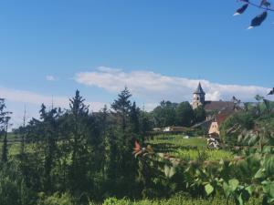 Hotels Hotel Restaurant Au Riesling : photos des chambres