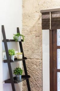 Cozy apartment in the old town - San Ramon