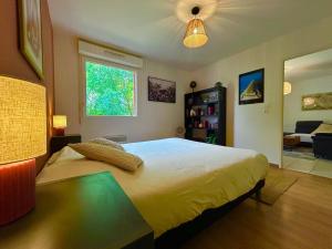 Appartements Joli T2 niche dans les arbres au coeur du bassin : Appartement 1 Chambre