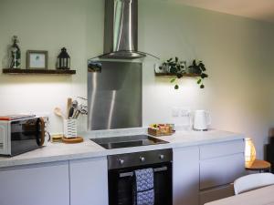 Gwynant Lodge - Uk47608