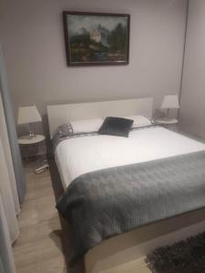 Appartements Le Bellevue : photos des chambres