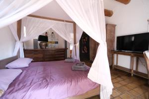 Villas magnificent detached villa with heated swimming pool and jacuzzi, in aureille, in the alpilles – 8 people : photos des chambres