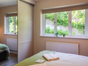 Gwynant Lodge - Uk47608