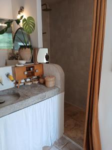Villas Villa des Oliviers le petit Versailles : photos des chambres