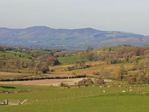 Hafod - Uk2783