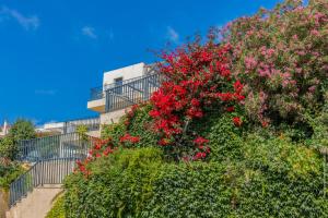 Appartements Les Terrasses d'Erbalunga : photos des chambres