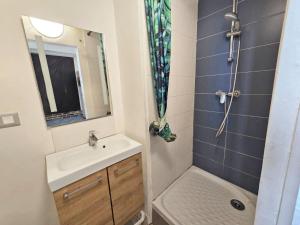 Appartements GregBnb - Studio 25m2 - Terasse 30m2 - CLIMATISE : photos des chambres