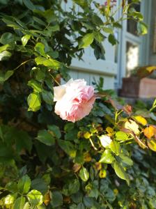 Le Relais dAntoinette