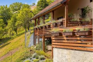 Herbal Apartment Marjetka