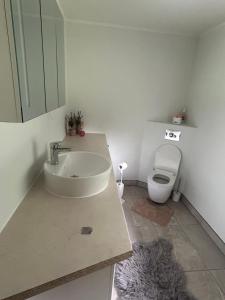 Cozy cabin near Peipsi