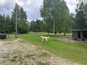 Cozy cabin near Peipsi