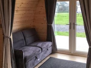 Bluebell - Uk41386