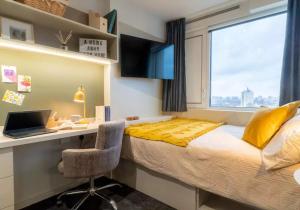 Student Only Bronze Studio at IQ Vega