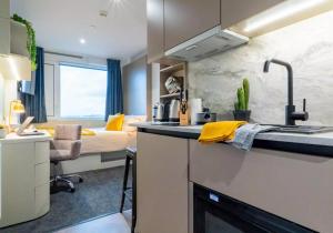 Student Only Bronze Studio at IQ Vega