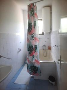 Apartman Vesna