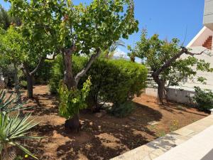 Villa ilporticciolovacanze 22