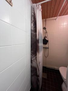 Hostel Ukonlinna