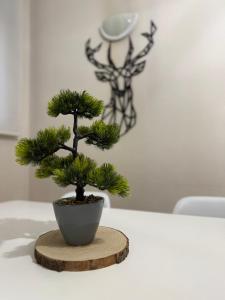 Apartamento céntrico con garaje