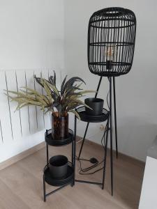 Modern and cozy apartment