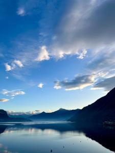 La Corte del Governo 565