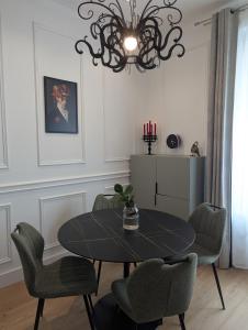 Appartements VENI VEDI VICHY climatise, 50m2 coeur de ville : photos des chambres
