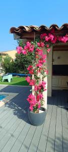 Maisons de vacances Chez Lucho et carole : photos des chambres