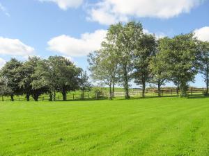 Bay View - Uk38206