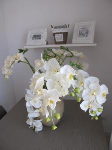 Guest House Suite img8