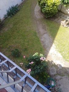 Celeste Apartment-San Frediano