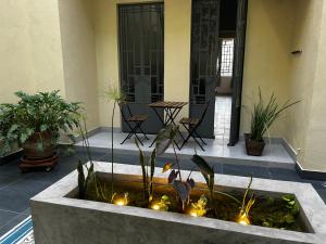 Apartamento completo planta baja Colonia Moderna